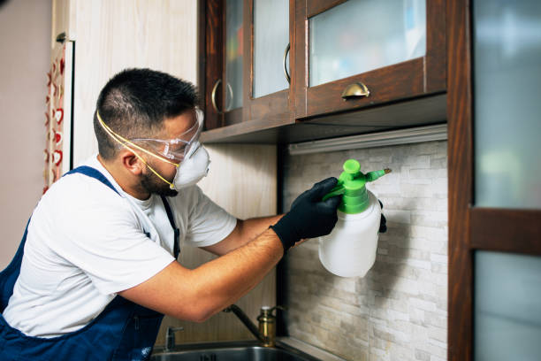 Wasp Removal Services in Saw Creek, PA