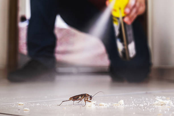 Pest Control for Restaurants in Saw Creek, PA