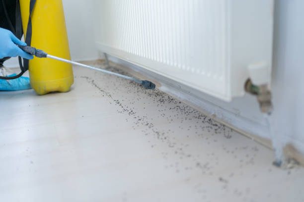 Best Pest Prevention Services  in Saw Creek, PA
