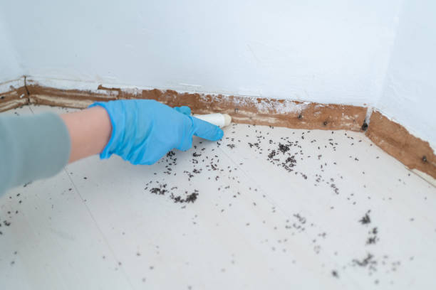 Best Pest Removal Services  in Saw Creek, PA