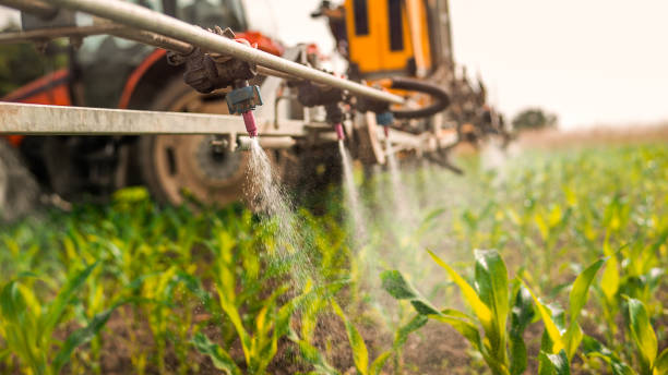 Best Pest Control Cost  in Saw Creek, PA